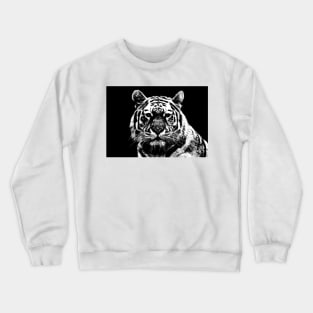 Beauty in the Beast Crewneck Sweatshirt